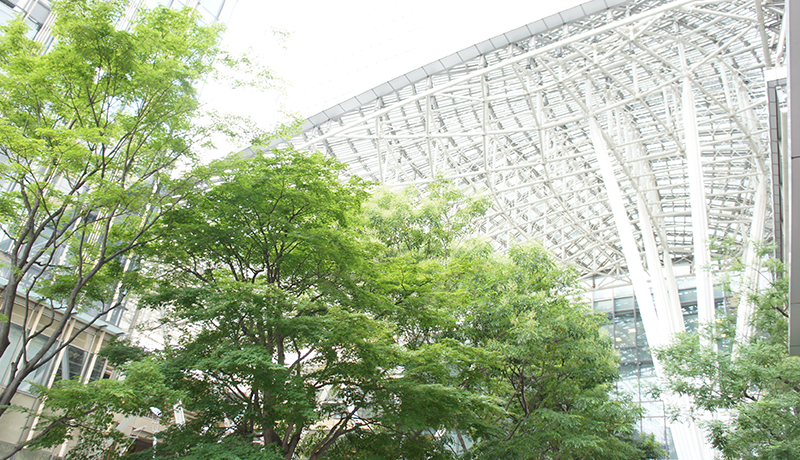 ku111备用线路登录线路 アトランタ・ブレイブスでビッグリーグにデビューしたチェンは11チームを経て